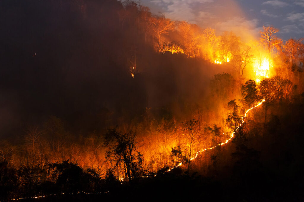 Fires, Fires, Climate Valuation